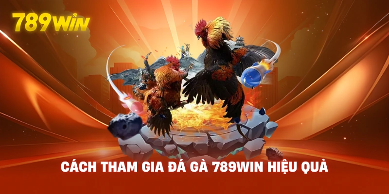 Cách Tham Gia Đá Gà 789WIN Hiệu Quả